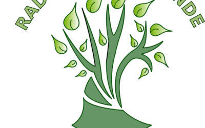 Découvrez le logo de Radio Brocéliande