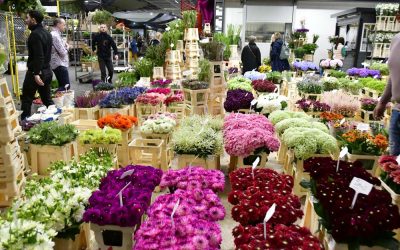 Une semaine conduite pour la classe de Seconde CAP conducteur routier