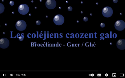 L’option Gallo au collège de Brocéliande, juin 2024