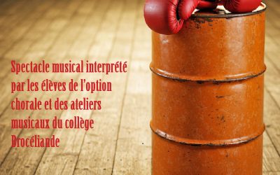 « Moi et les autres », le spectacle de l’option chorale du collège