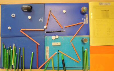 DES OBJETS COLORÉS… UN ANIMAL !