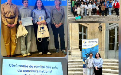 1er prix projet eTwinning « Bridging Art and Geometry » pour les élèves de DNL section euro/math