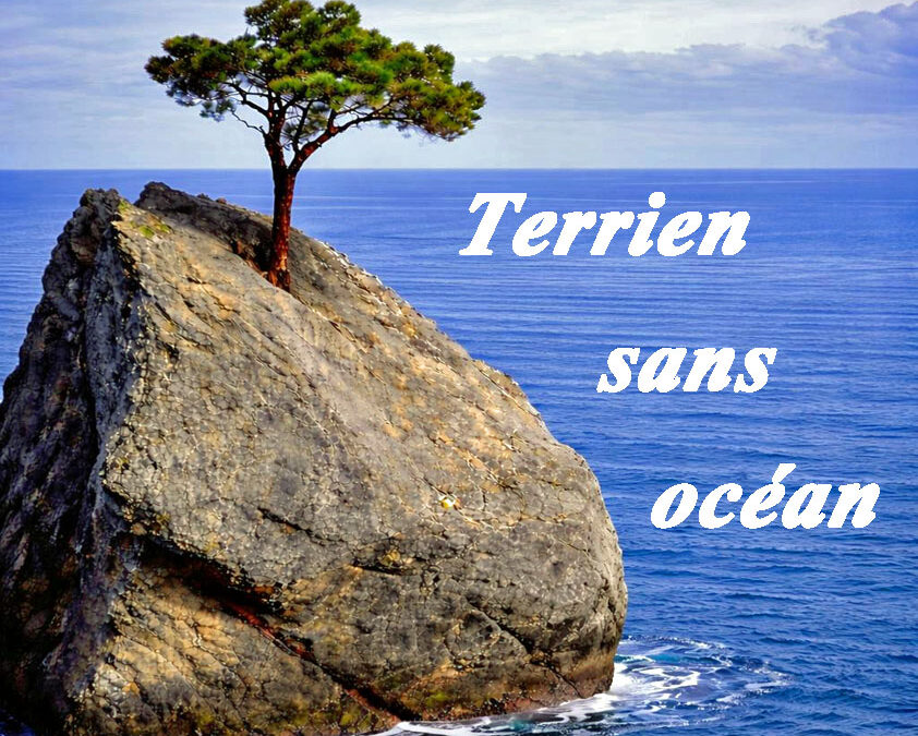 Réservez vos places pour « Terrien sans océan » des 19 et 20 juin 2026